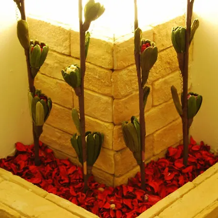 ゲストハウス Le Cinque Novelle 4*